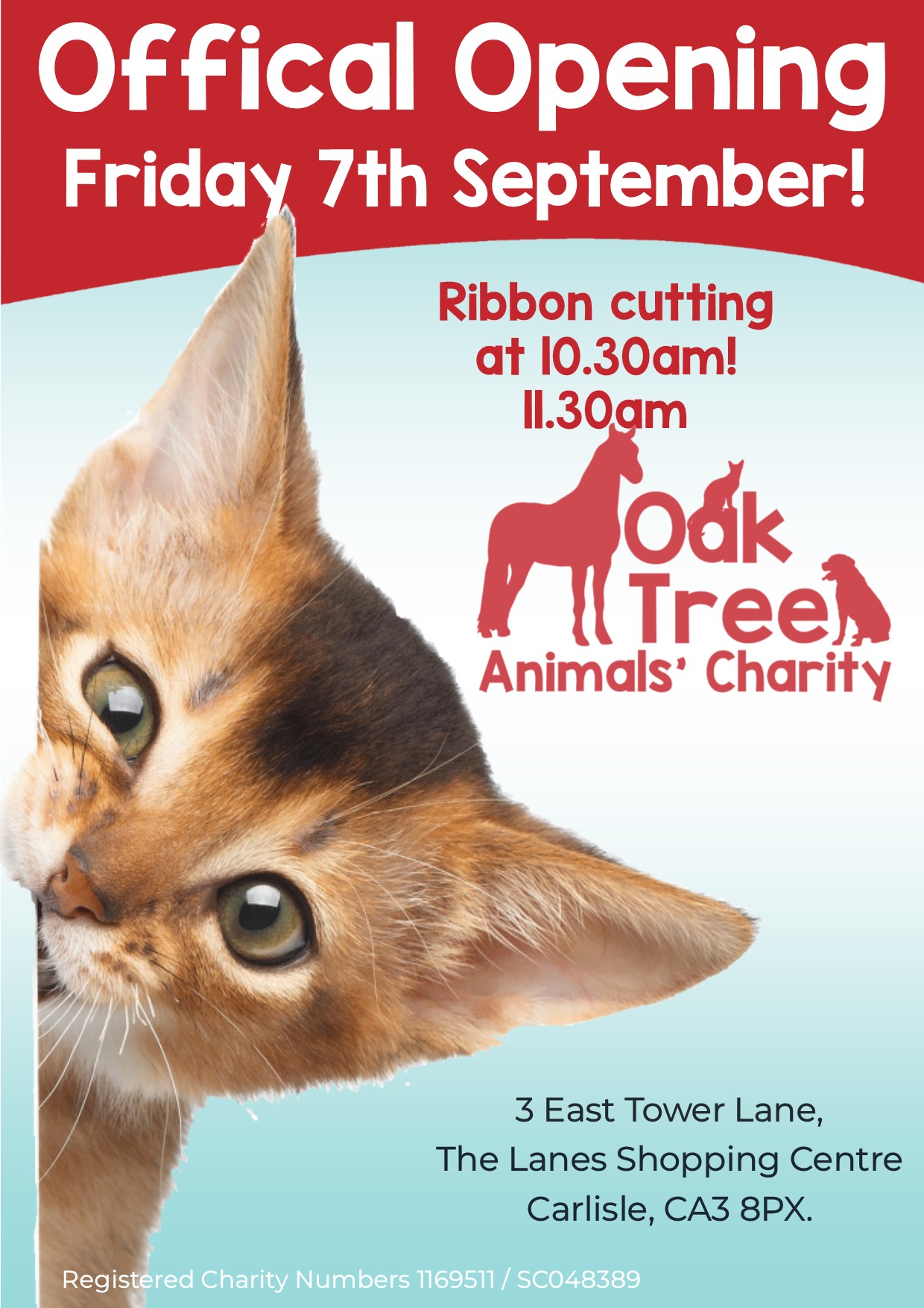 Oak Tree's First Ever OffSite Shop Opens Next Week! Oak Tree Animals